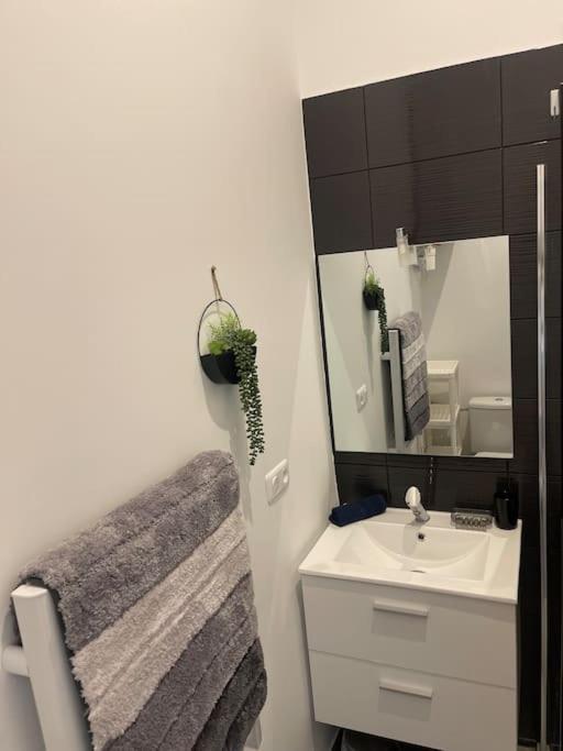 Joli Studio Maisonnette Avec Cachet Toulouse Luaran gambar